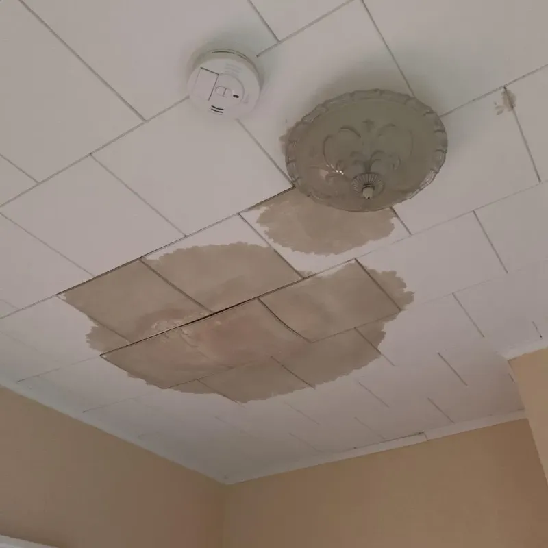 Ceiling Water Damage Repair in Towanda, KS