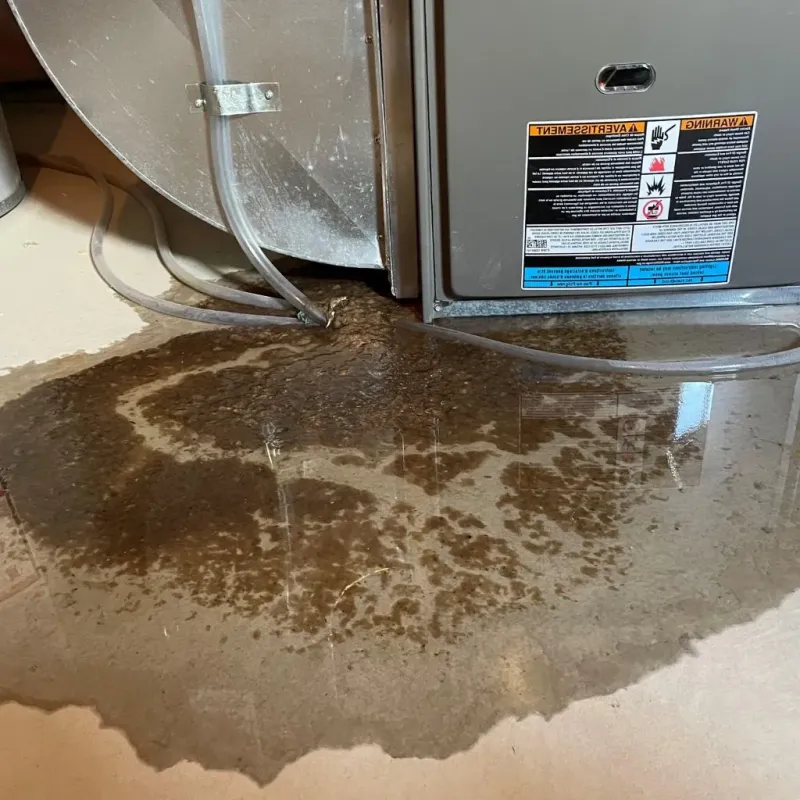 Pipe Burst and Leak Restoration in Towanda, KS