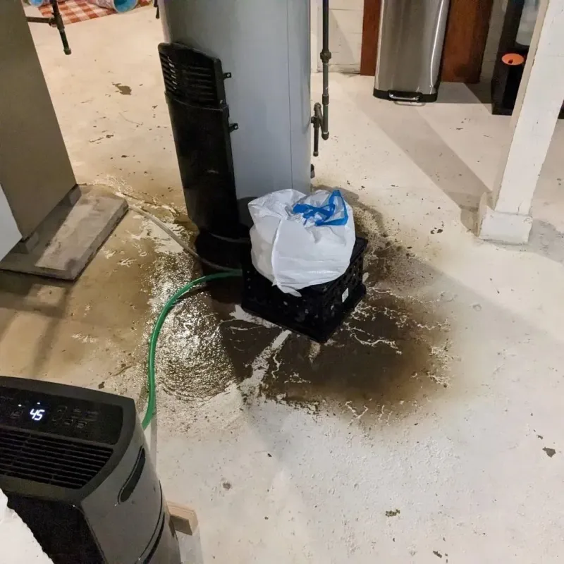 Sewage Backup Cleanup Service in Towanda, KS